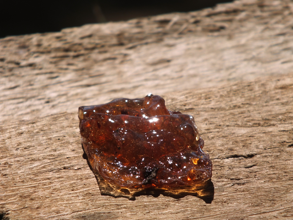 Removed Pine Sap